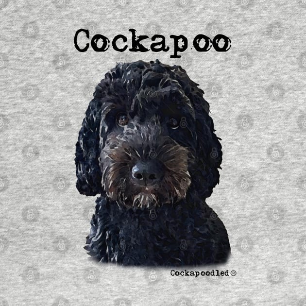 Black Cockapoo / Spoodle and Doodle Dog by WoofnDoodle 